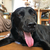 Profile picture small