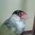 かんちゃん
