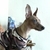 Profile picture small