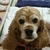 Profile picture small