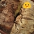 Profile picture small