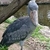 Profile picture small