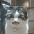 Profile picture small