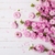 Profile picture small