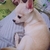 juna❀