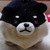 Profile picture small