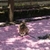 Profile picture small