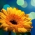 Profile picture small