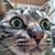 Profile picture small