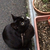 Profile picture small