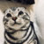 Profile picture small