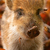 Profile picture small