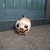 Profile picture small