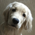 Profile picture small