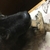 Profile picture small