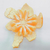 Profile picture small