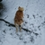 Profile picture small