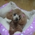 Profile picture small