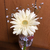 Profile picture small