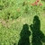 Profile picture small
