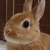Profile picture small