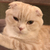 Profile picture small