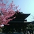 Profile picture small
