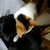 Profile picture small