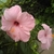 Profile picture small