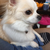 Profile picture small