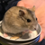 Profile picture small