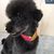 Profile picture small