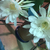 Profile picture small