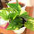 Profile picture small