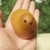 Profile picture small