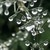 Profile picture small