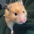 Profile picture small