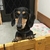 Profile picture small