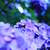 Profile picture small
