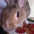 Profile picture small