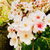 Profile picture small