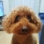 エソちゃん