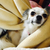 Profile picture small