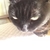 Profile picture small