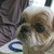 Profile picture small