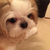 Profile picture small