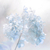 Profile picture small
