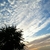 Profile picture small