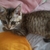 Profile picture small