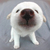Profile picture small